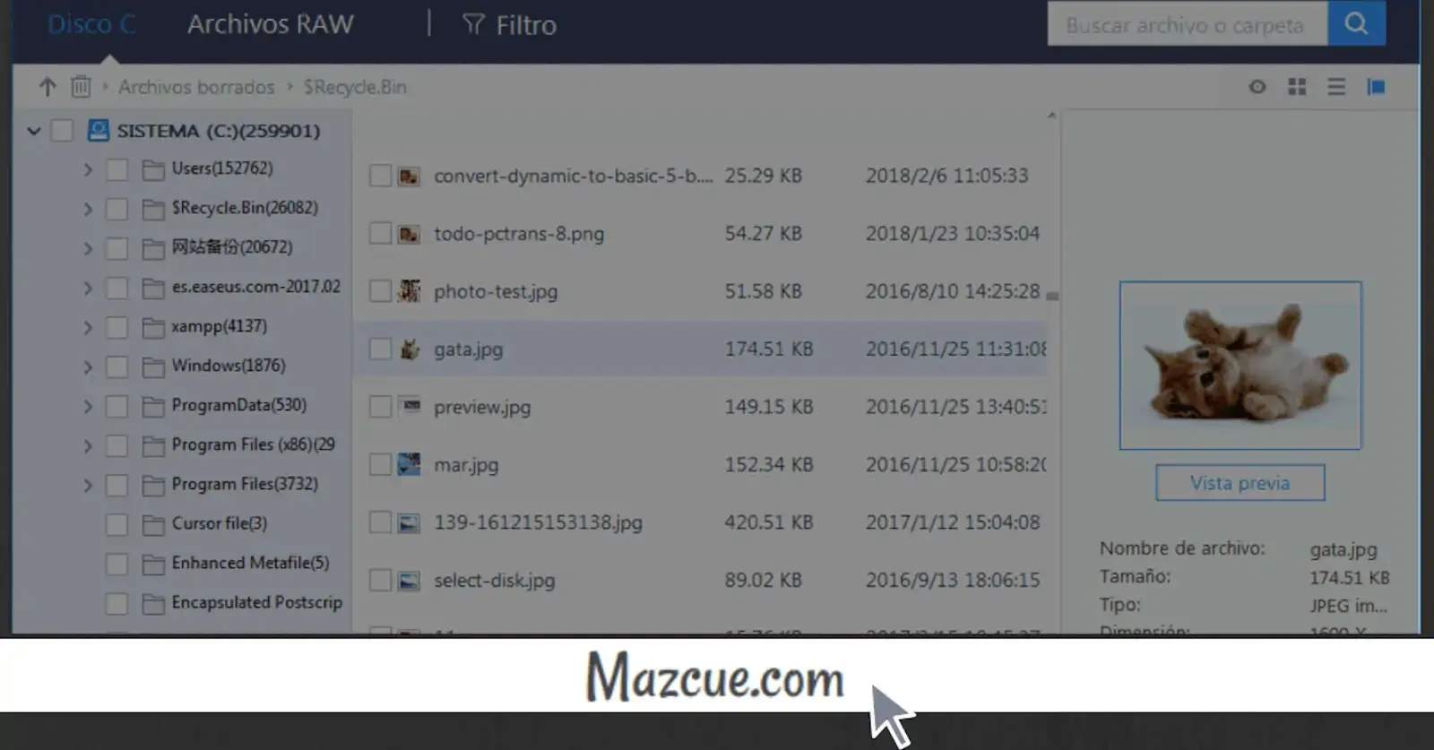 Cómo recuperar archivos borrados de forma fácil y rápida